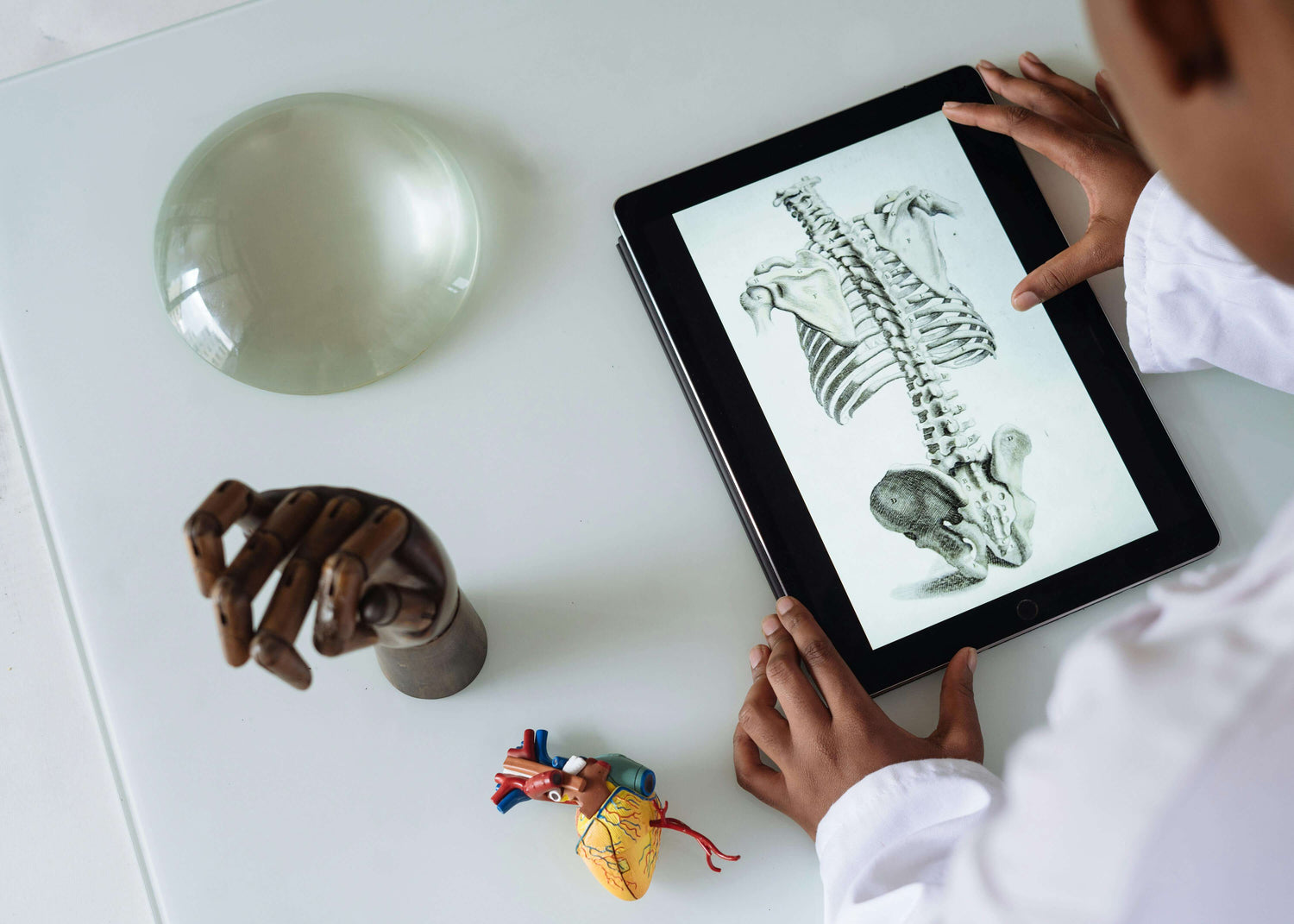 Clinician reviewing skeletal anatomy image – medical education focus