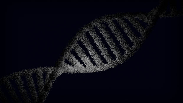 Building a Regenerative Treatment Plan Around Polynucleotides