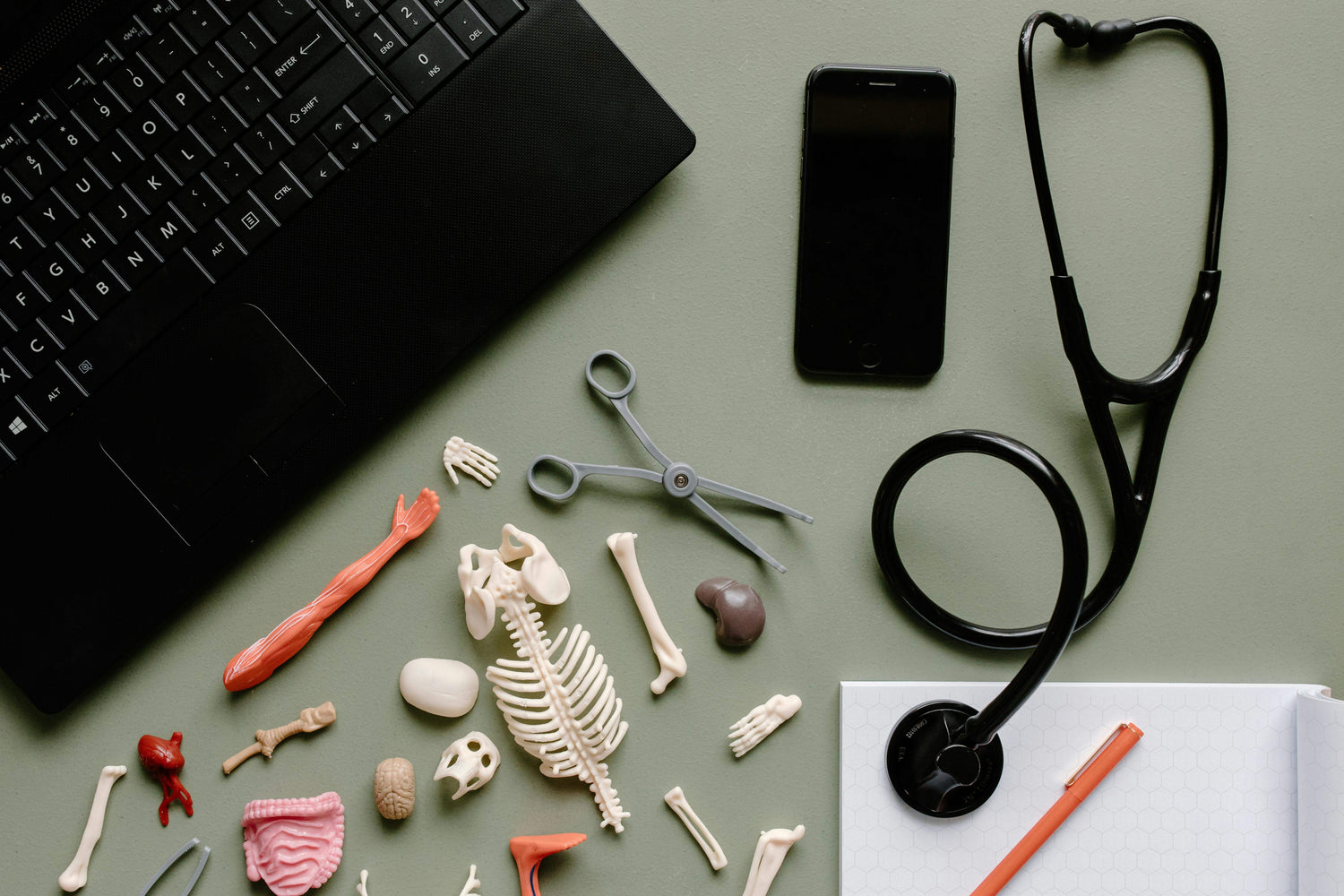 Medical tools, anatomical models, laptop, and stethoscope on green surface – clinical and educational setup
